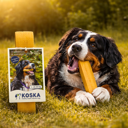 Barra Koska (L) 25-35kg 